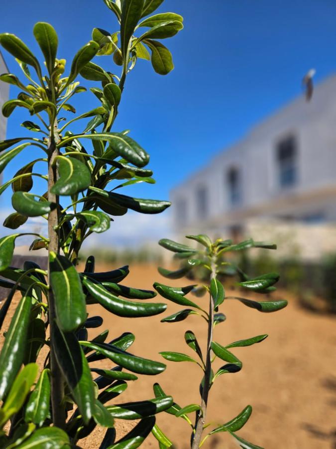 Bura House *